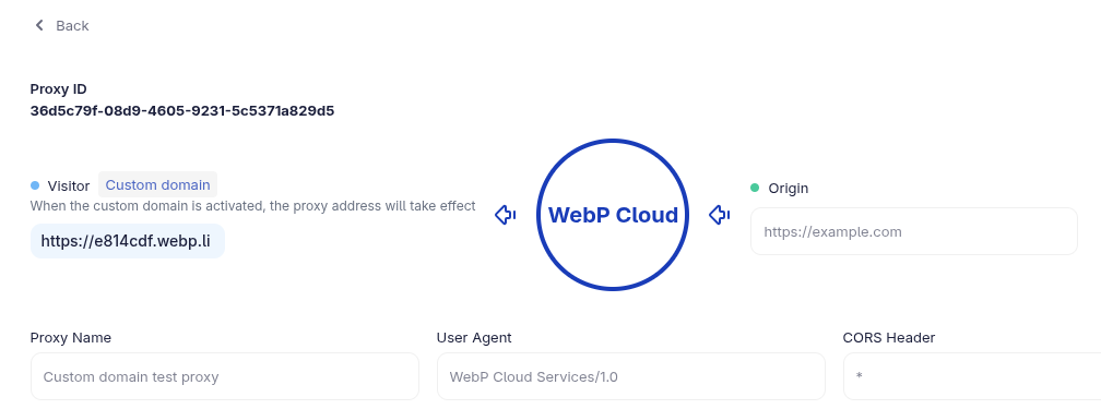 Custom domain field in the proxy settings