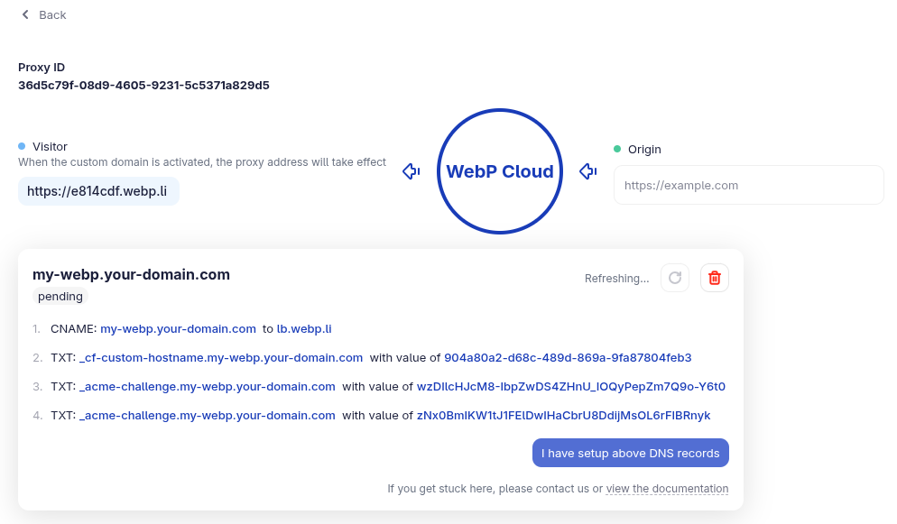Custom domain status changing from pending to ready