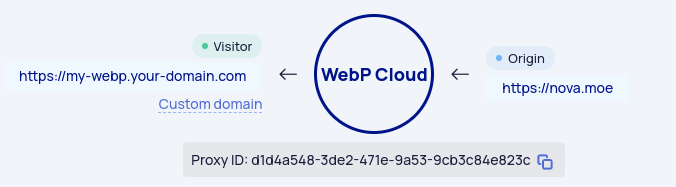 Proxy address after the custom domain is active